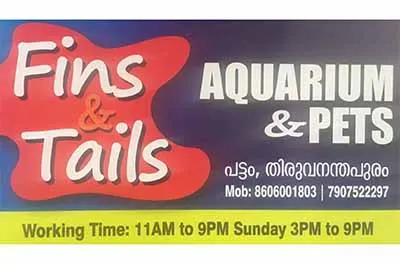 Fins & Tails Pets And Aquarium