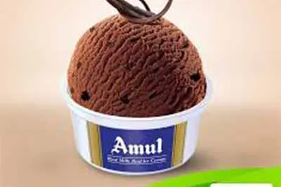 Amul Ice Cream Parlour - Frozencup