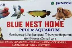 BLUE NEST HOME PETS AND AQUARIUM