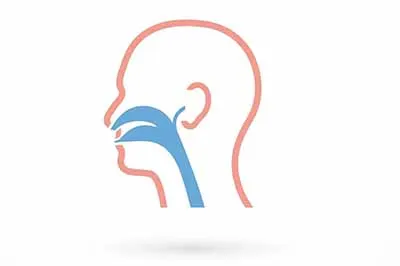 Dr. Anjana Vadakke Rayaroth - MS (ENT Head & Neck Surgery)